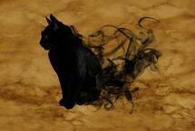 15 érdekesség a macskákról egészen az ókortól