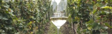 Family-owned wineries near Budapest