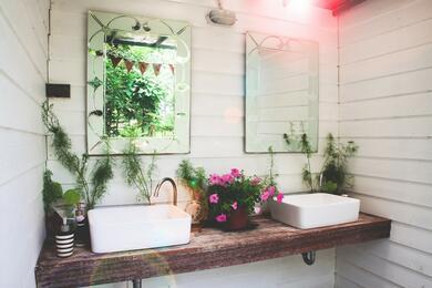 10 tökéletes szobanövény a fürdőszobába
