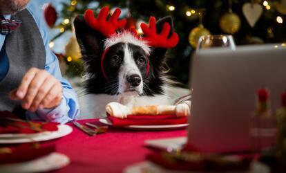 Már beköszöntött az advent, és a lakásod még mindig nem pompázik ünnepi díszben? Vagy már elkezdted a díszítést, de elfér még egy pár kiegészítő? Nézd meg ezt a négy nagyszerű ötletet, és készítsd el őket! 4 nagyszerű ötlet, amellyel lakásod ünnepi díszbe öltöztetheted!