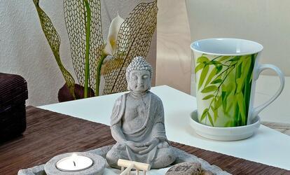 Szerencs hozó növények lakásodba Feng Shui