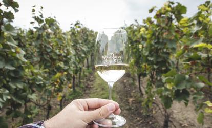 Family-owned wineries near Budapest