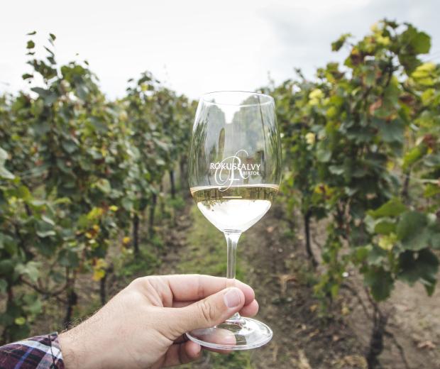Family-owned wineries near Budapest