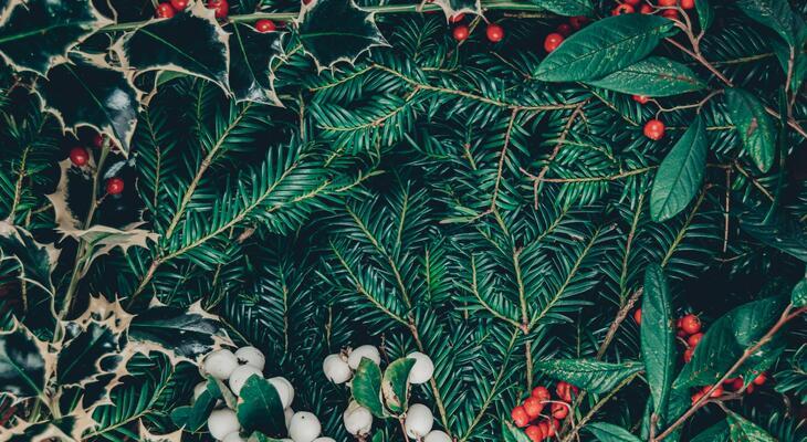 Díszítsd otthonod örökzöld karácsonyi dekorációval karácsonyi dekoráció örökzöldekkel