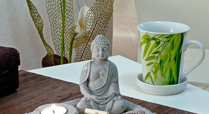 Szerencs hozó növények lakásodba Feng Shui