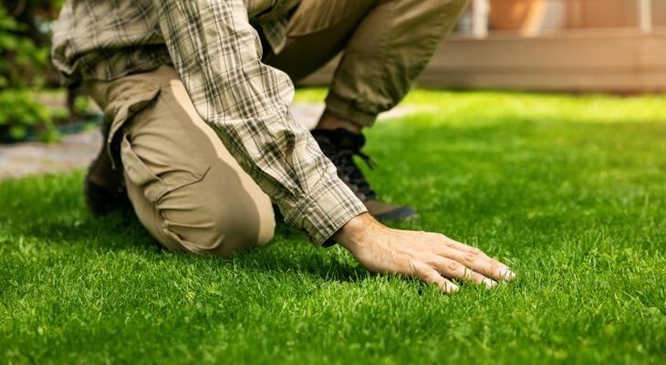 gyepápolási tippek