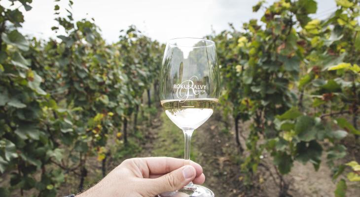 Family-owned wineries near Budapest