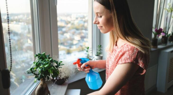 Bonszai kisokos, bonszai gondozása