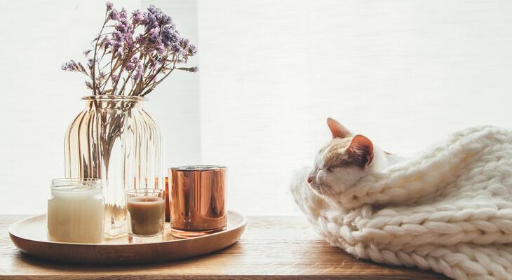 7 trükk őszi illathoz 7 trükk, amikkel őszi illatokat varázsolhatsz otthonodba