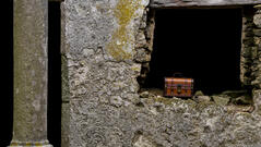 Mobil szabadulószoba rendelés