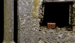 Mobil szabadulószoba rendelés