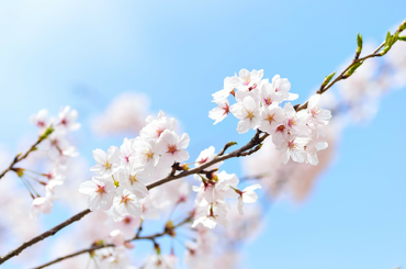 Tavaszi takarítás, tavaszi nagytakarítás A nagytakarításhoz így kezdj bele!