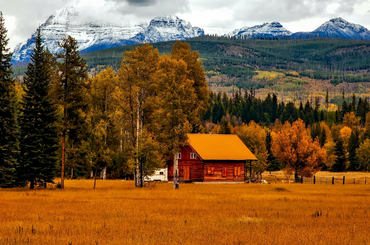 Őszi dekorációs ötletek a lakásba