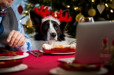 4 nagyszerű ötlet, amellyel lakásod ünnepi díszbe öltöztetheted!