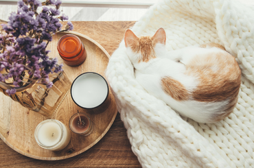 Így csempézhetsz őszi hangulatot az otthonodba!  