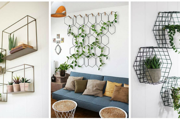 Bemutatjuk, hogy hogyan díszítheted az üres falakat növényekkel az otthonodban! 