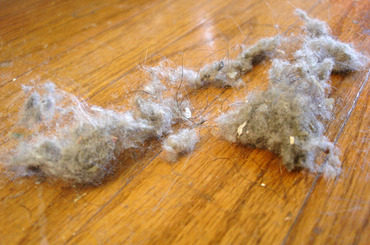 A portalanítás titkai - Így ragyogni fog minden!