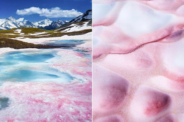 Nézd meg, hogy miért is veszélyes a rózsaszín hó! 