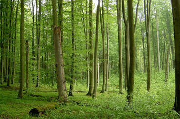 A Mátránál jobb helyet nem is találhatnál egy nyaralónak