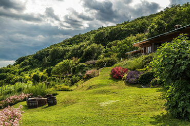 Elképesztő lehet az élet a Balatonnál, most megtudhatod mennyire!