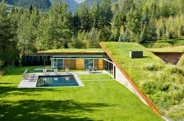 Zöld tető - zöld mozgalom, házak