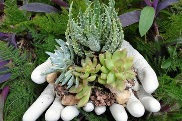 Cementből és gumikesztyűből készíthetsz házilag ilyen dekoratív, kerti virágtartót! 