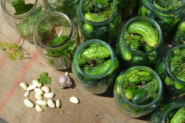 Eredeti, magyar kovászos uborka receptje