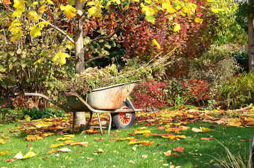 Őszi tennivalók a kertben