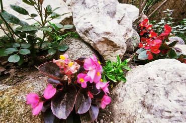 Sziklakert építése