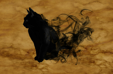 macskák érdekességek