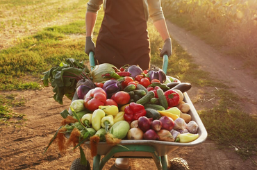 Egészséges zöldségek