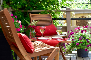 10 legszebb nyári virág