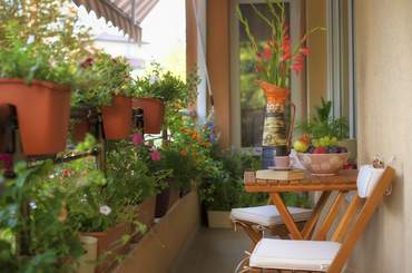 Nyári lak berendezése ötletekkel