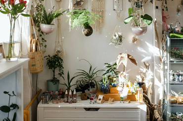 Maximalista irányzat