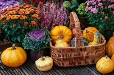 Őszi virágok kosarakba