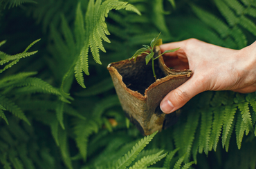 Környezetbarát tippek 