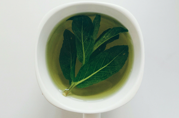 zöldtea