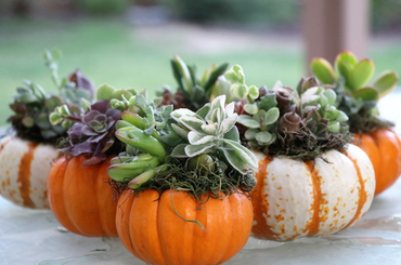 Top 5 őszi programötletek