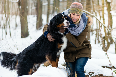 Téli tippek kutyáknak