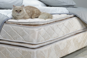 Állatbarát szüvet