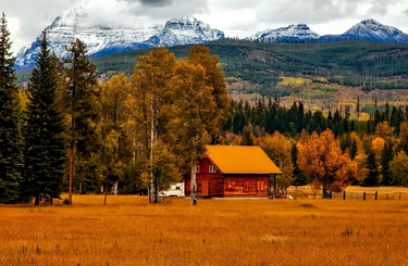 Őszi dekorációs ötletek a lakásba