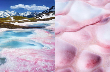 Nézd meg, hogy miért is veszélyes a rózsaszín hó! 