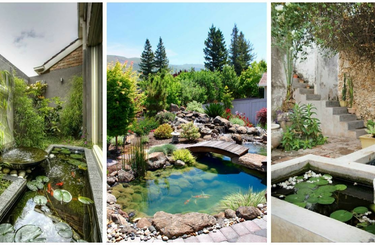 Mutatunk néhány igazán különleges kerti tavat! 