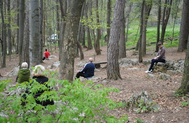 Föld szívcsakrája Magyarországon