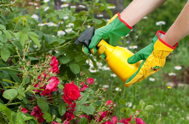 Szódabikarbóna felhasználása kertben