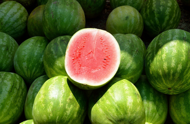 Íme a legfinomabb görögdinnye! Így válaszd ki!