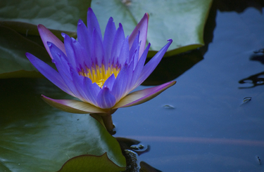 Gyógyvizek jótékony hatásai