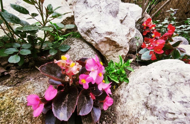 Sziklakert építése