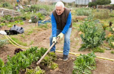 Októberi teendők a kertben