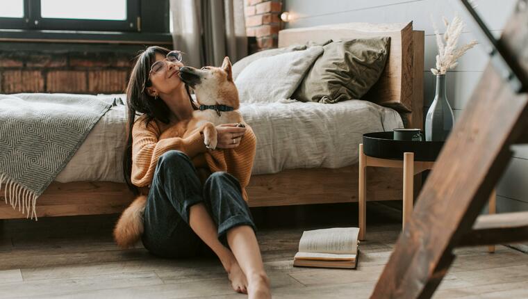 kiskedvencbarát otthon, tippek és praktikus megoldások